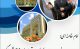 آشنایی با دستاورد های علمی و پژوهشی موسسه در زمینه نیازهای فکری و عملی جامعه اسلامی